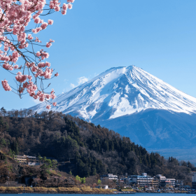 Mount Fuji pictured from the banks of Lake Kawaguchiko with cherry blossoms